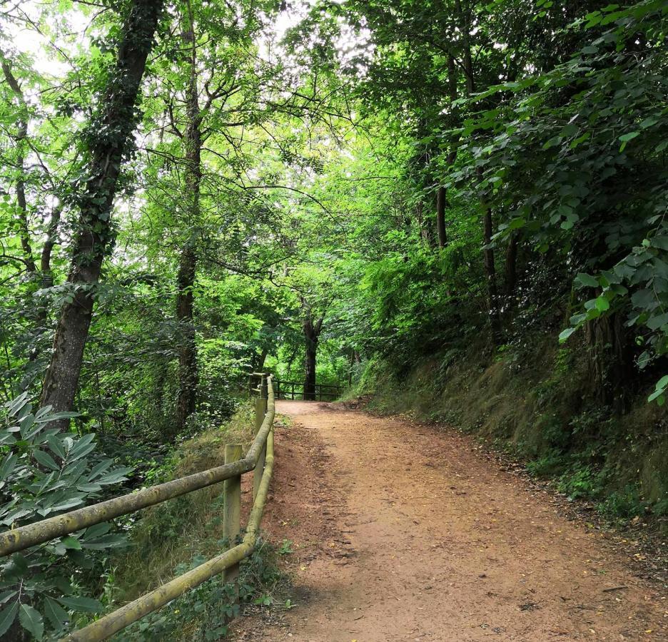 Ca La Pauleta Villa Sant Hilari Sacalm Luaran gambar
