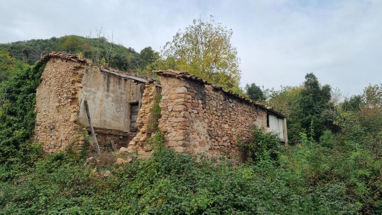 Ca La Pauleta Villa Sant Hilari Sacalm Luaran gambar