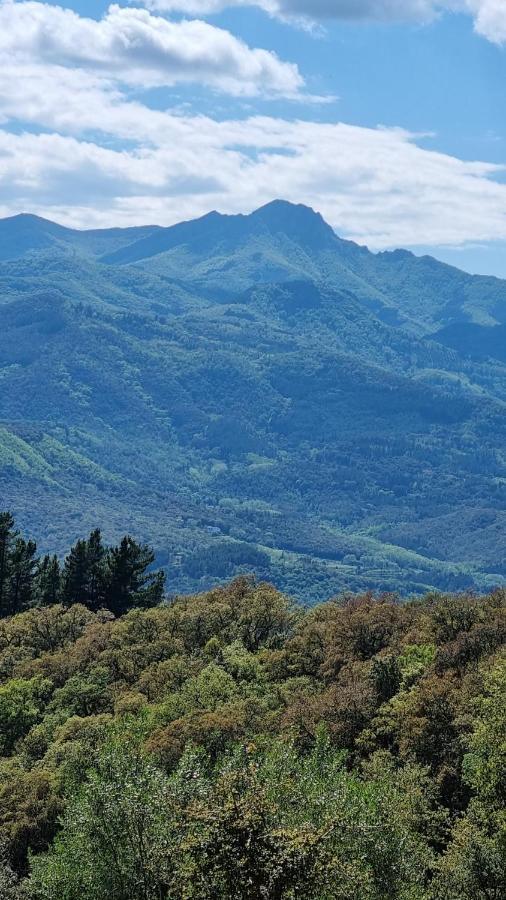 Ca La Pauleta Villa Sant Hilari Sacalm Luaran gambar