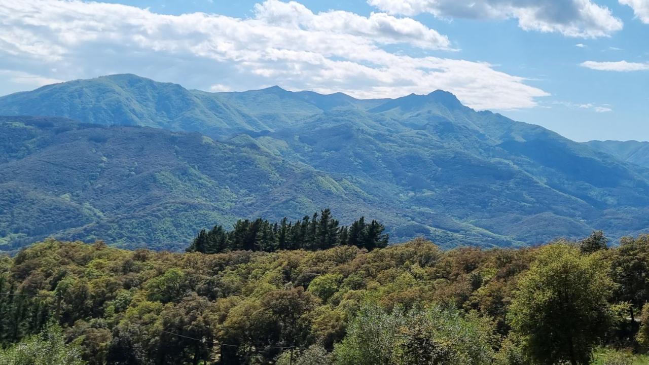 Ca La Pauleta Villa Sant Hilari Sacalm Luaran gambar