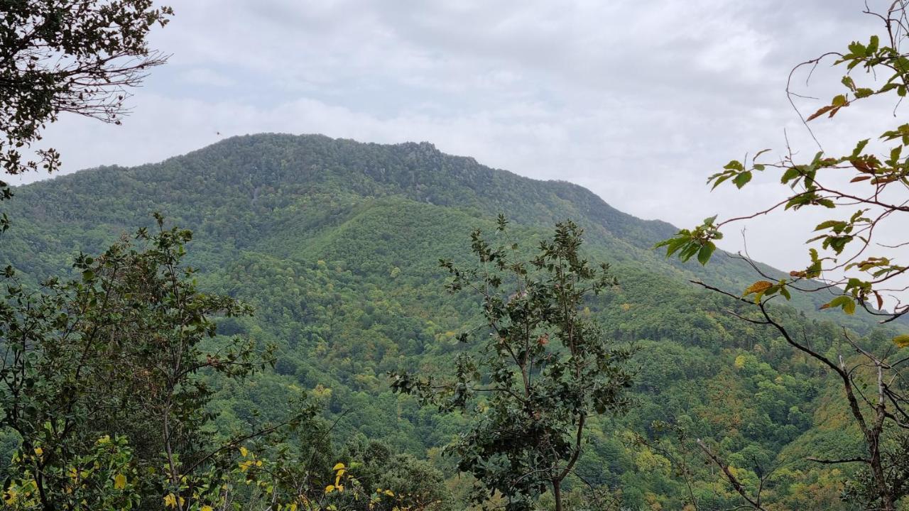 Ca La Pauleta Villa Sant Hilari Sacalm Luaran gambar