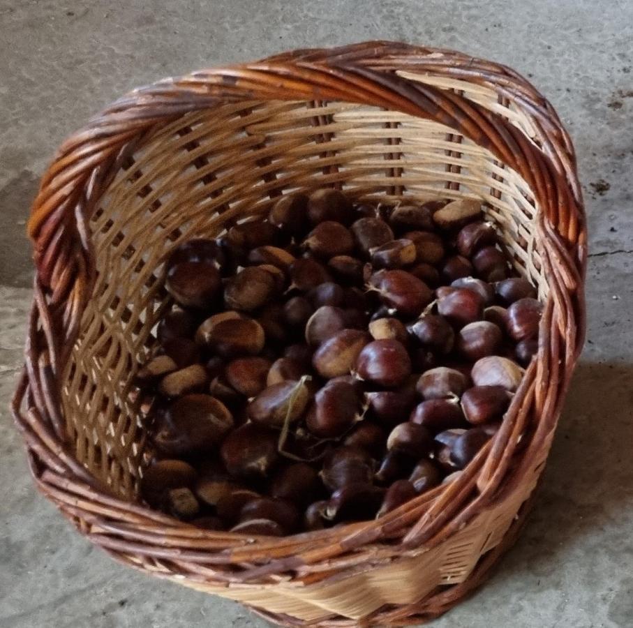 Ca La Pauleta Villa Sant Hilari Sacalm Luaran gambar