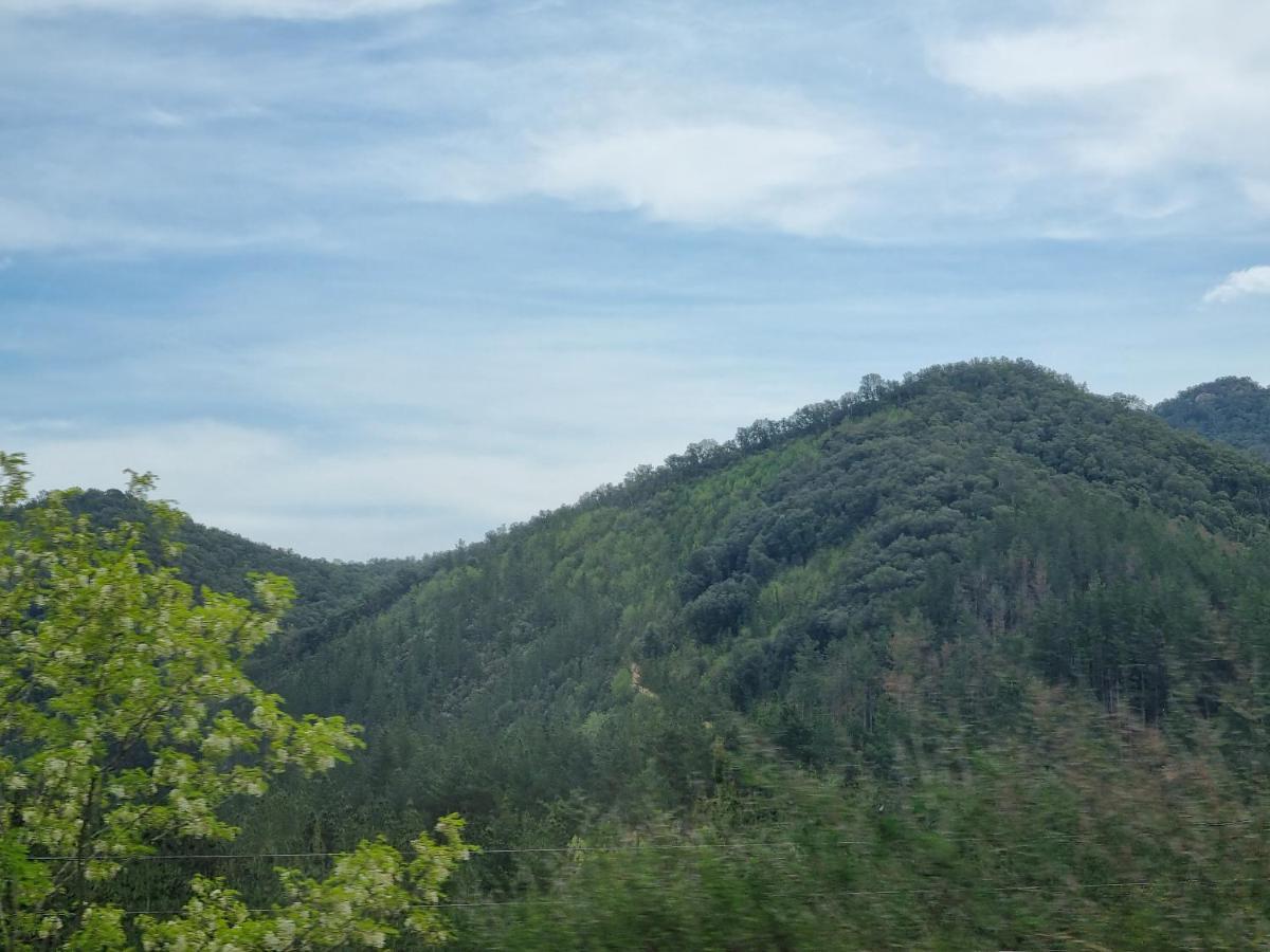 Ca La Pauleta Villa Sant Hilari Sacalm Luaran gambar
