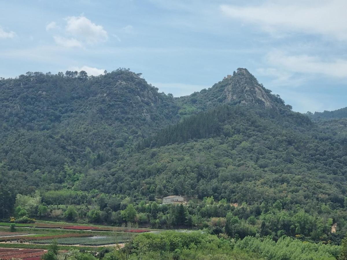Ca La Pauleta Villa Sant Hilari Sacalm Luaran gambar